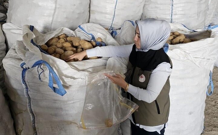 Afyonkarahisar’da Tunus’a 132 ton patates ihracatı yapıldı