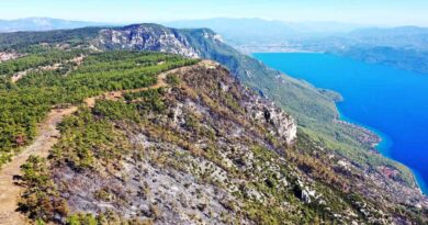 Gökova’da alevlerin önünü kesmek için 6,5 kilometre yangın şeridi açıldı