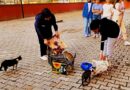 Hisarcık’ta yurt öğrencileri artan yemeklerle kedileri besledi