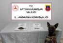 Jandarma uyuşturucu maddeler ele geçirdi