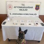 Jandarma zehir tacirlerine geçit yok