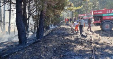 Kütahya’da anız yangını ormana sıçradı