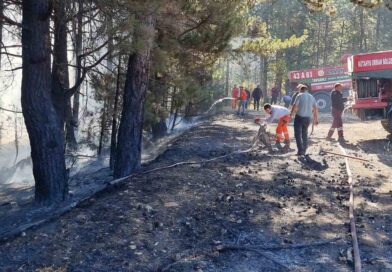 Kütahya’da anız yangını ormana sıçradı