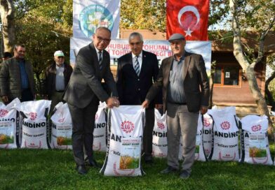 Manisa Büyükşehir’in tohum desteği devam ediyor