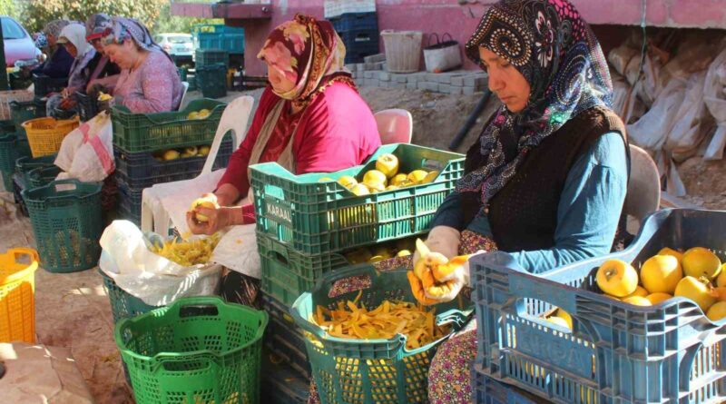 Manisa’da şifa kaynağı cennet hurmasına talep artıyor