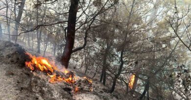 Muğla Gökova Körfezi’nde orman yangını