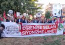 Muğla’da “Direnişin Simgesi Gazze” yürüyüşü gerçekleştirildi