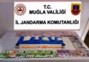 Muğla’da uyuşturucu ve ruhsatsız silah operasyonu: 11 şüpheli gözaltında