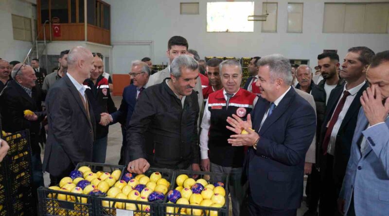 Satsuma mandalinası Balkanlar ve Avrupa yolunda