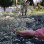 Turgutlu Belediyesi örnek uygulamasına devam ediyor