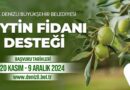 Denizli Büyükşehir çiftçilere 50 bin zeytin fidanı dağıtacak