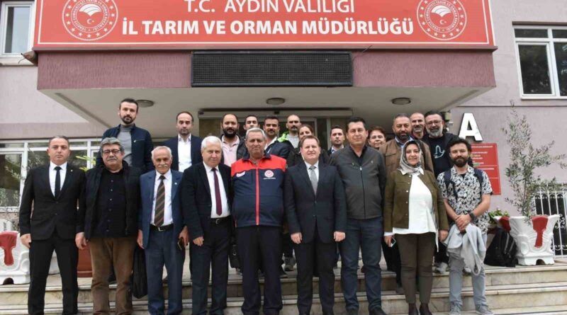 Küçükbaş Hayvan Islahı projesi toplantısı Aydın’da yapıldı