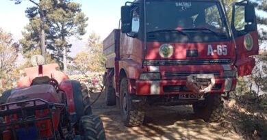 Manisa’da ormanlık alanda çıkan yangın söndürüldü