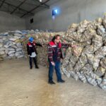 Tunus ve Azerbaycan’a yaklaşık 300 ton patates ihracatı yapıldı