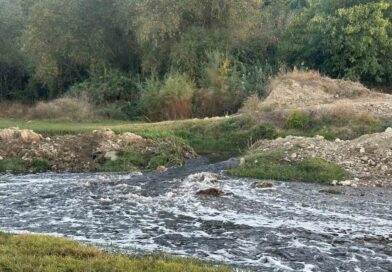 Uşak OSB’den bırakılan atıkların Gediz Nehri’nde kirlilik ve balık ölümlerine neden olduğu iddia edildi