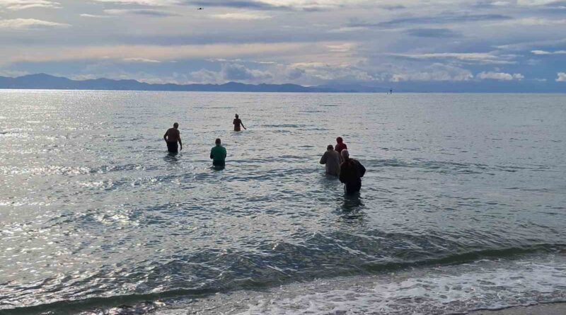 Didim’de yaşayan yabancılar sokak hayvanlarına yardım için denize girdiler