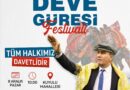 Efeler’de deve güreşi heyecanı