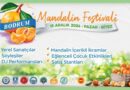 Geleneksel Bodrum Mandalin Festivali başlıyor