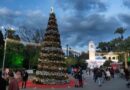 İzmir’in en neşeli festivali  başladı