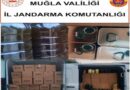 Muğla’da bin 520 litre sahte zeytinyağı ele geçirildi