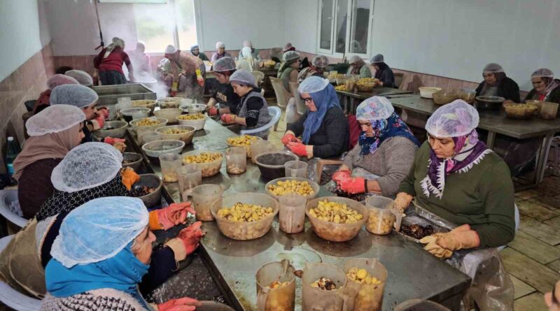 Nazilli’nin Kestane Şekeri, Uzakdoğu sofralarını süslüyor