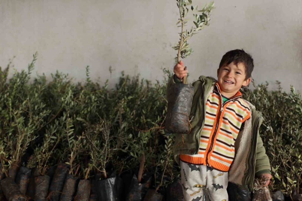 featured