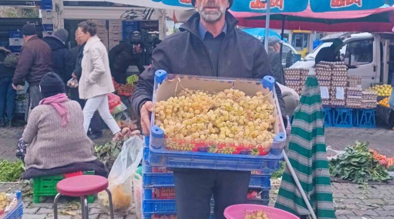 Yılbaşı sofralarının taze üzümü Sarıgöl’den