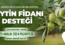 Zeytin fidanı desteği başvuru süresi uzatıldı