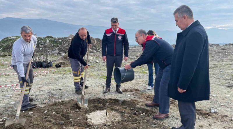 Buharkent’te ’Kaliteli İncir, Kaliteli İlek’ projesi kapsamında fidan dikimi gerçekleştirildi