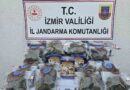 İzmir’de jandarmadan uyuşturucu tacirlerine operasyon