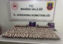 Manisa jandarmasından uyuşturucu operasyonu