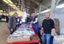 Balık bollaştı, fiyatlar düştü