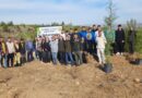 Buldan Müftülüğü tarafından hatıra ormanı oluşturuldu