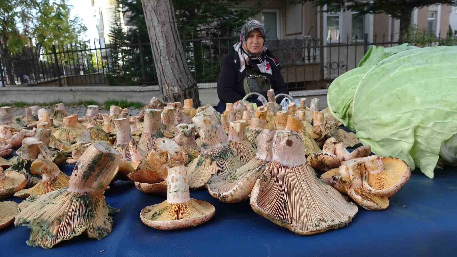 kutahyada-melki-bereketi-FBPGzt7l.jpg