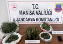 Manisa jandarmasından uyuşturucu operasyonu: 3 tutuklama