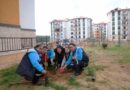 Menteşe Akçaova TOKİ Site yönetiminden ‘Yeşil Vatan’a fidanlı destek
