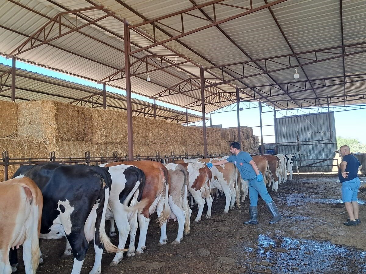 nazillide-13-mahalle-karantinaya-alindi-SlvtX1eh.jpg