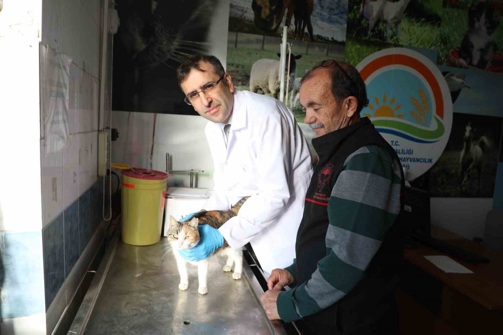 usakta-kedi-ve-kopek-sahiplerine-mikrocip-uyarisi-Vg8m3x2k.jpg