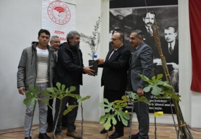 Aydın’da üreticilere 74 bin 90 fide dağıtılacak Aydın’da üreticilere 74 bin 90 fide dağıtılacak