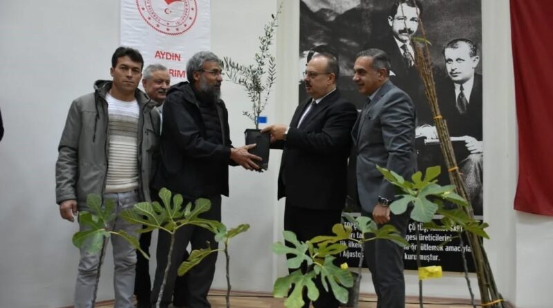 Aydın’da üreticilere 74 bin 90 fide dağıtılacak Aydın’da üreticilere 74 bin 90 fide dağıtılacak