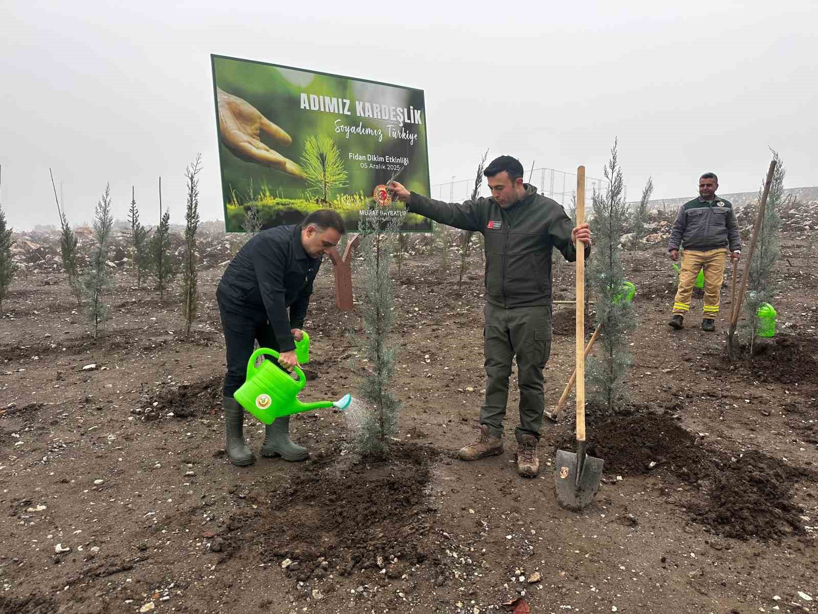 baybaturdan-yanan-orman-alanlarina-bin-fidan-Qm1EXEGH.jpg