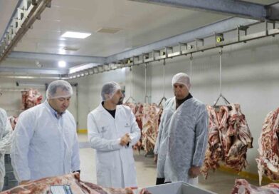 Büyükşehir’in Halk Ege Et modeli Türkiye’ye örnek oluyor Büyükşehir’in Halk Ege Et modeli Türkiye’ye örnek oluyor