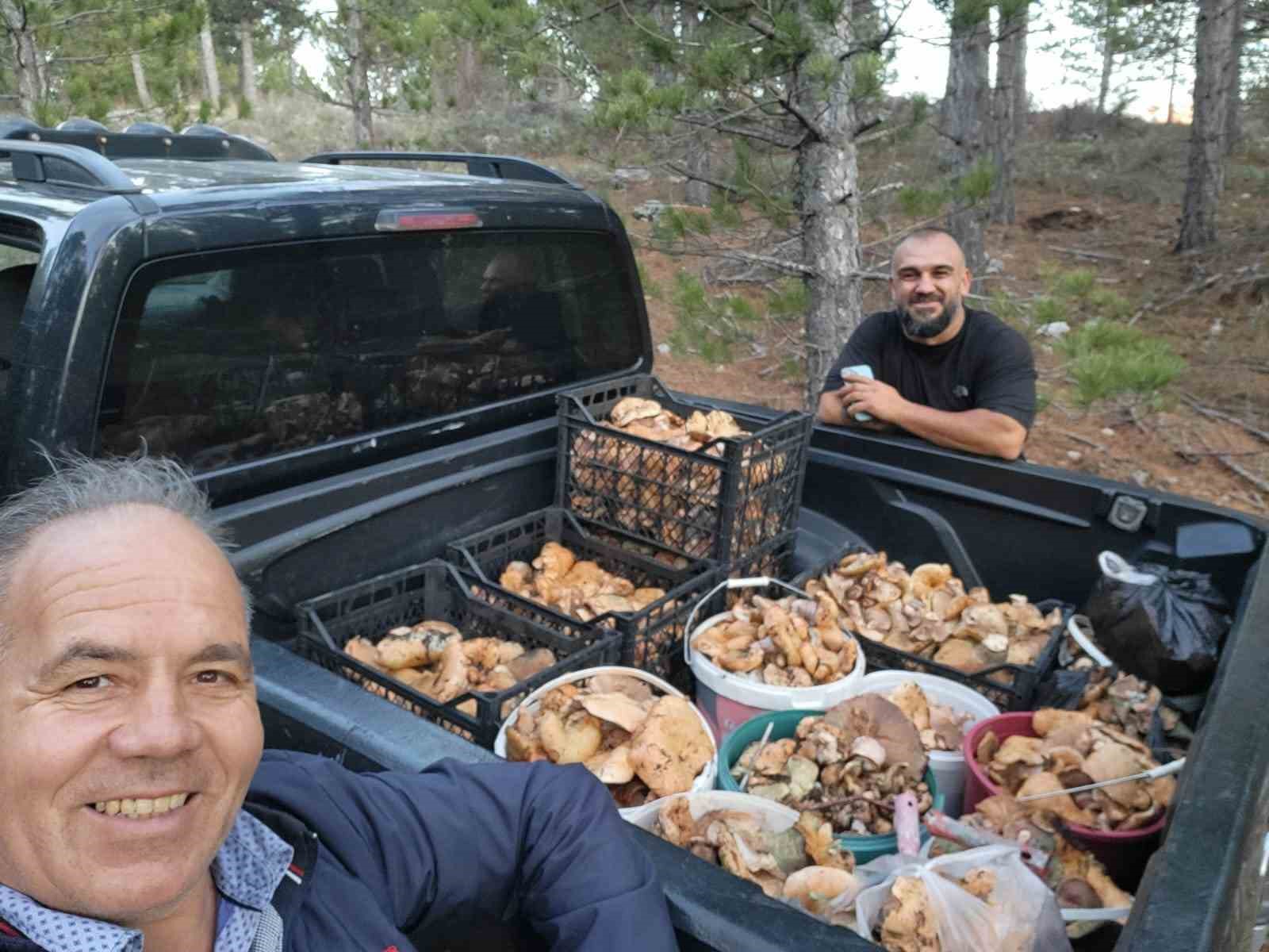 camelide-cintar-bereketi-j3JSjNIr.jpg