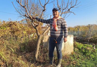 Çiftçinin mesaisi kışın da sürüyor