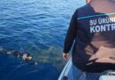 Denizlerdeki hayalet ağlar temizleniyor
