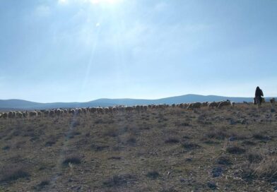 Geçici maden arama izni verilen meralarda kontroller yapıldı