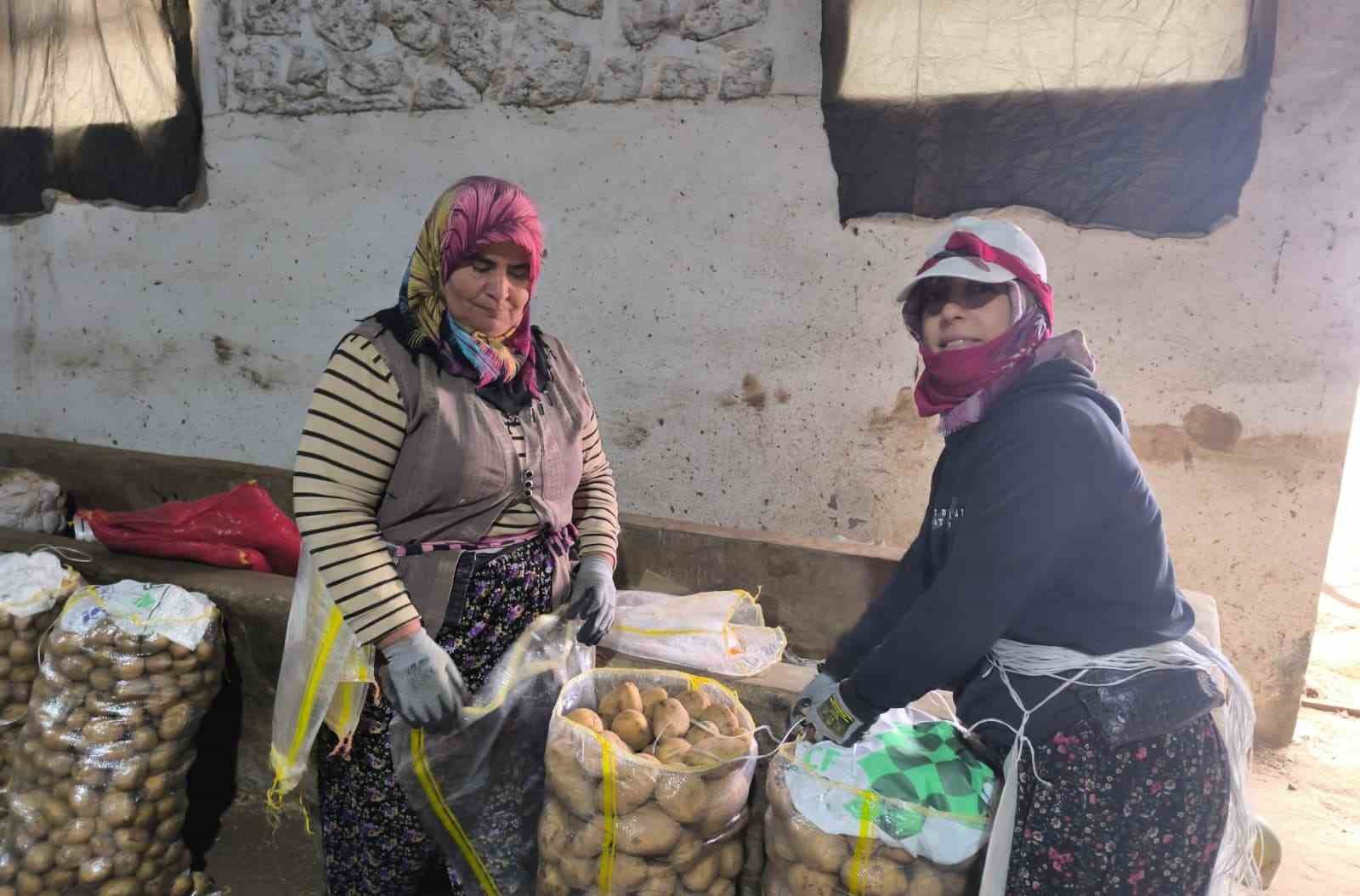 hasadi-biten-patateste-depolama-sureci-basladi-RHurgBPR.jpg