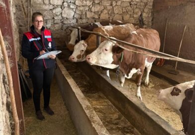 Hibe desteğiyle hayvancılık yapan besicilere yönelik denetim Hibe desteğiyle hayvancılık yapan besicilere yönelik denetim