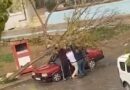 İzmir’de park halindeki otomobilin üzerine ağaç devrildi