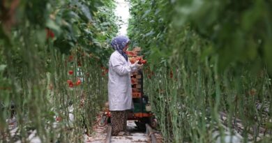 Jeotermal, 2025’te yatırım uykusundan uyandı